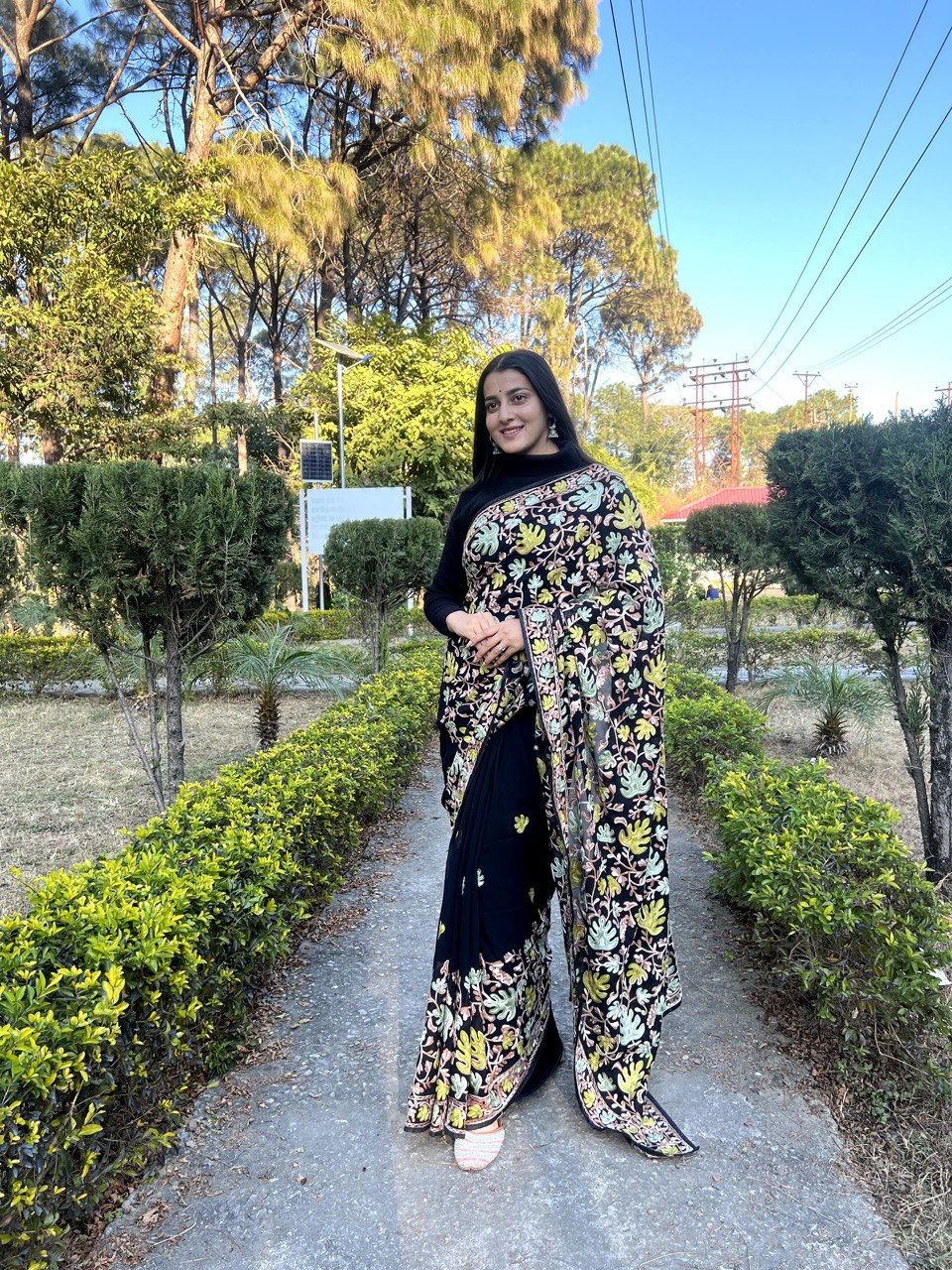 Traditional Embroidered Saree