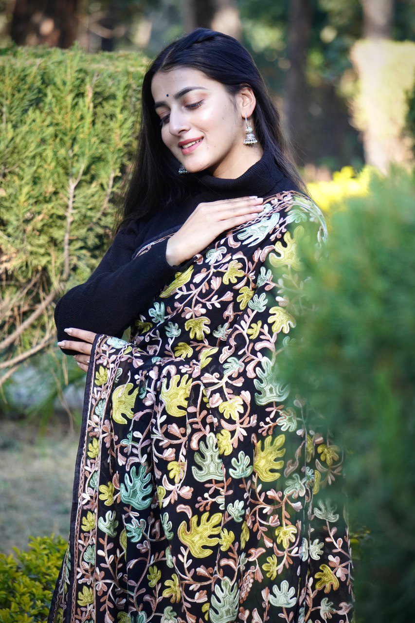 Traditional Embroidered Saree