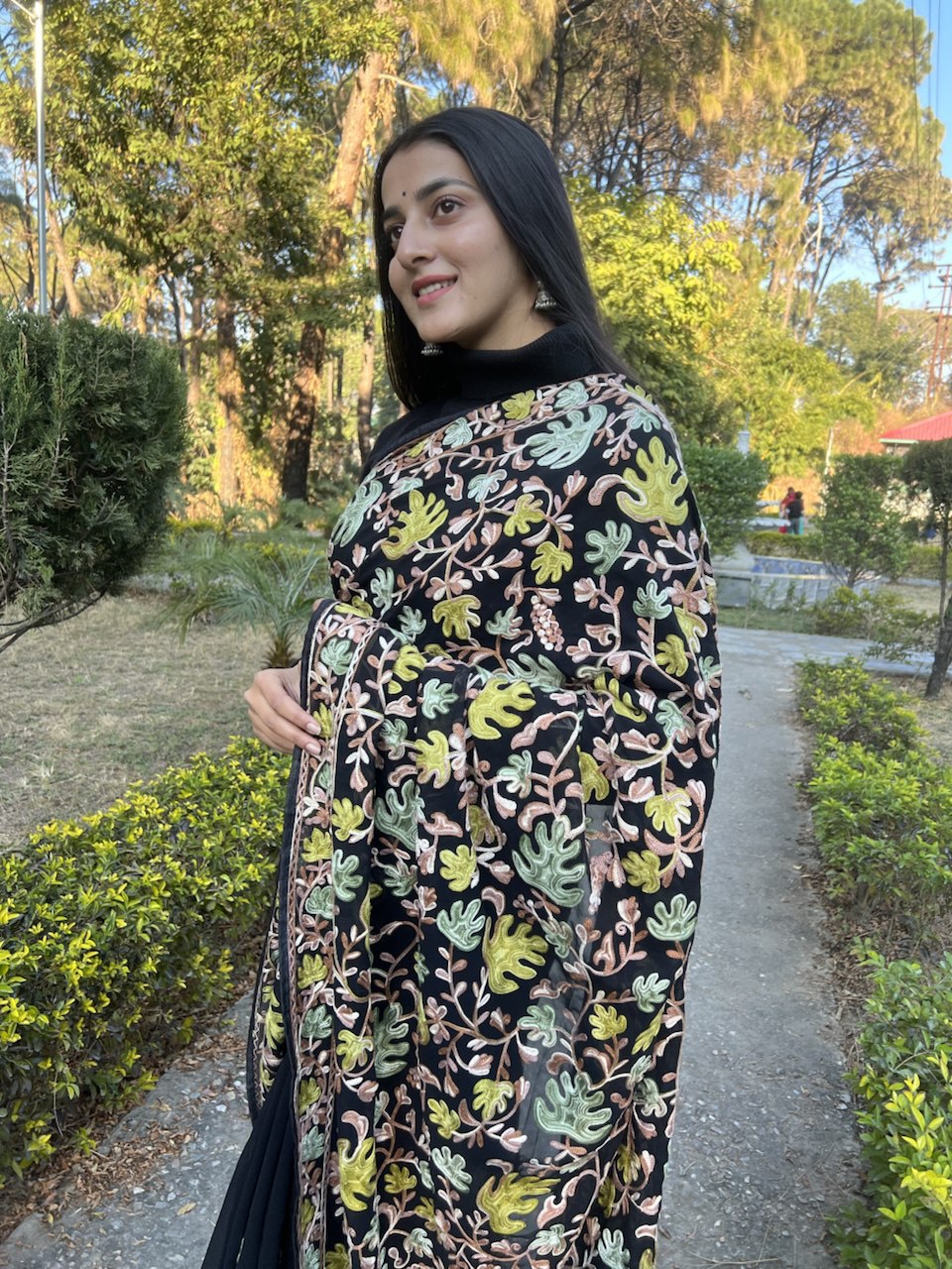 Traditional Embroidered Saree